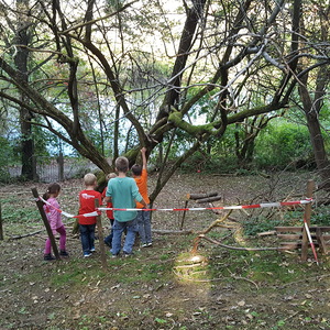 Foto: Kathrin Wallner