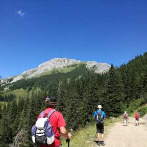 Fußwallfahrt nach Mariazell