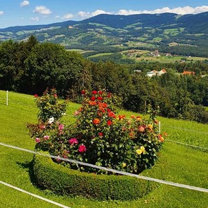 Foto: Pfarre Graz-Mariahilf